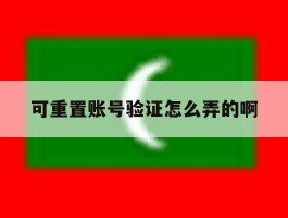 可重置账号验证怎么弄的啊