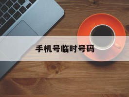 手机号临时号码