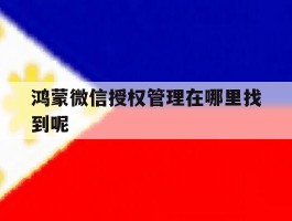 包含鸿蒙微信授权管理在哪里找到呢的词条