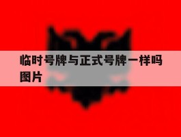 临时号牌与正式号牌一样吗图片
