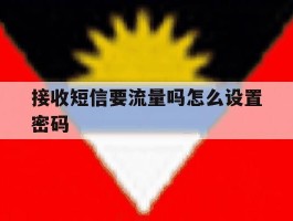 接收短信要流量吗怎么设置密码