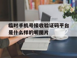 关于临时手机号接收验证码平台是什么样的呢图片的信息