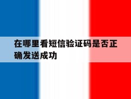 在哪里看短信验证码是否正确发送成功