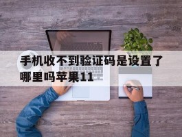 手机收不到验证码是设置了哪里吗苹果11