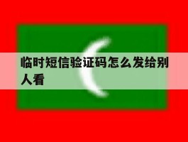 临时短信验证码怎么发给别人看