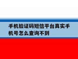 手机验证码短信平台真实手机号怎么查询不到