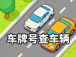 临时号牌的违章查询