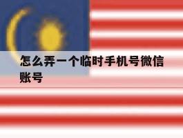 怎么弄一个临时手机号微信账号