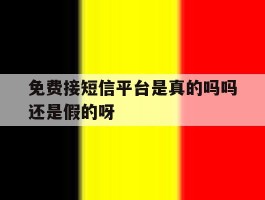 免费接短信平台是真的吗吗还是假的呀