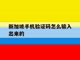 新加坡手机验证码怎么输入出来的