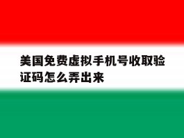关于美国免费虚拟手机号收取验证码怎么弄出来的信息
