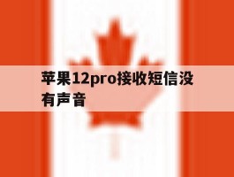 苹果12pro接收短信没有声音