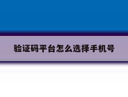 验证码平台怎么选择手机号