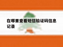 在哪里查看短信验证码信息记录
