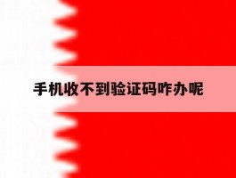 手机收不到验证码咋办呢