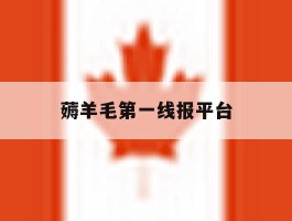 薅羊毛第一线报平台