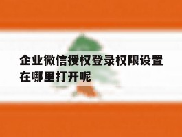 包含企业微信授权登录权限设置在哪里打开呢的词条