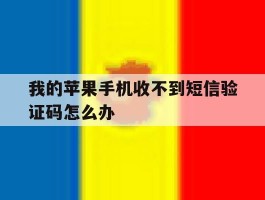 我的苹果手机收不到短信验证码怎么办