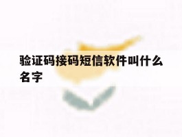 验证码接码短信软件叫什么名字