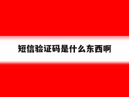短信验证码是什么东西啊