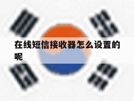 在线短信接收器怎么设置的呢