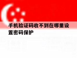 手机验证码收不到在哪里设置密码保护