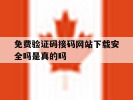 免费验证码接码网站下载安全吗是真的吗