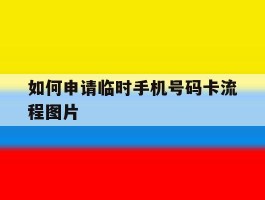 如何申请临时手机号码卡流程图片