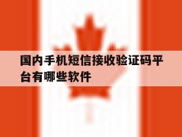 国内手机短信接收验证码平台有哪些软件