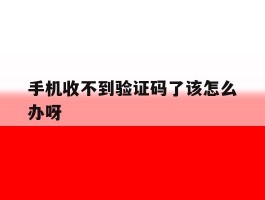 手机收不到验证码了该怎么办呀