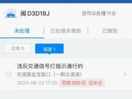 临时号牌会不会被拍到违章照片上