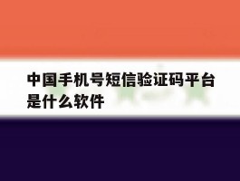 中国手机号短信验证码平台是什么软件