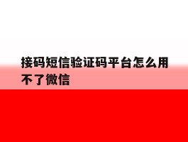 接码短信验证码平台怎么用不了微信