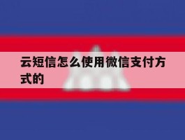 云短信怎么使用微信支付方式的