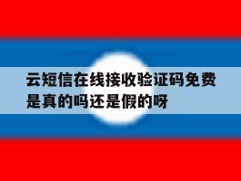 关于云短信在线接收验证码免费是真的吗还是假的呀的信息