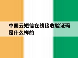 中国云短信在线接收验证码是什么样的