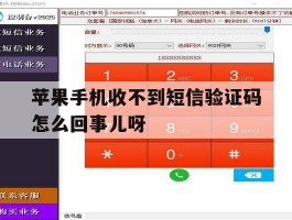 苹果手机收不到短信验证码怎么回事儿呀