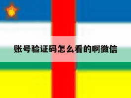 账号验证码怎么看的啊微信