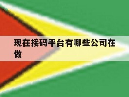 包含现在接码平台有哪些公司在做的词条
