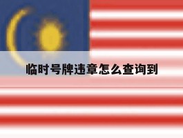 临时号牌违章怎么查询到