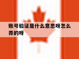 账号验证是什么意思呀怎么弄的呀的简单介绍