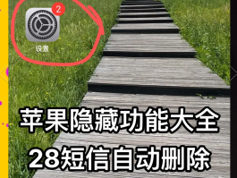 包含苹果收不到短信验证码怎么回事呢怎么解决的词条