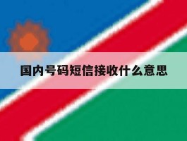 国内号码短信接收什么意思
