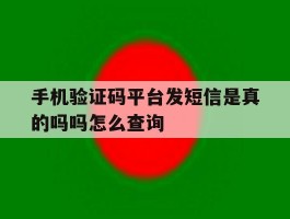手机验证码平台发短信是真的吗吗怎么查询的简单介绍
