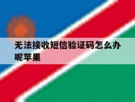 无法接收短信验证码怎么办呢苹果