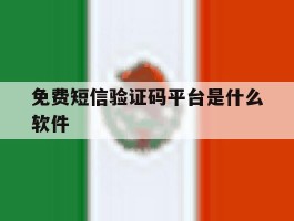 免费短信验证码平台是什么软件