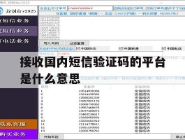 接收国内短信验证码的平台是什么意思