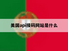 美国api接码网站是什么