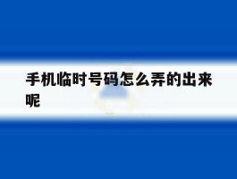 手机临时号码怎么弄的出来呢