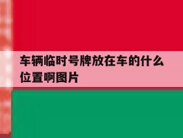 车辆临时号牌放在车的什么位置啊图片